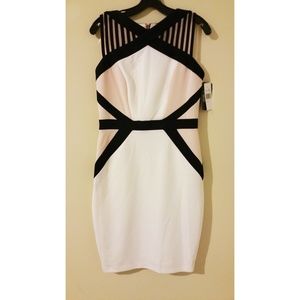 NWT JAX Pink White Sheath Dress